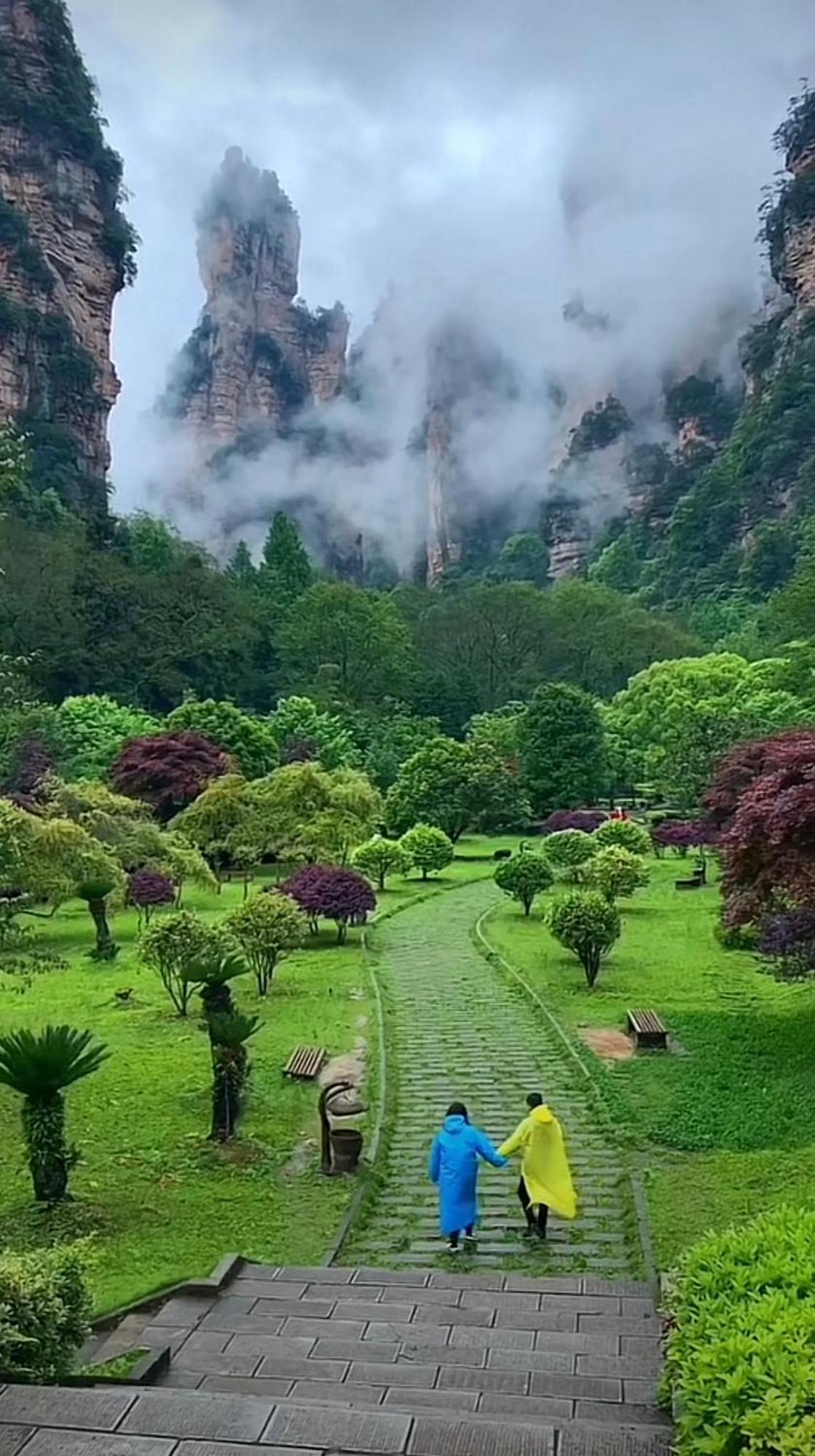 زانغجياجي Tongfu Inn المظهر الخارجي الصورة